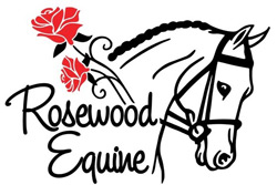 Santa Clarita summer camps